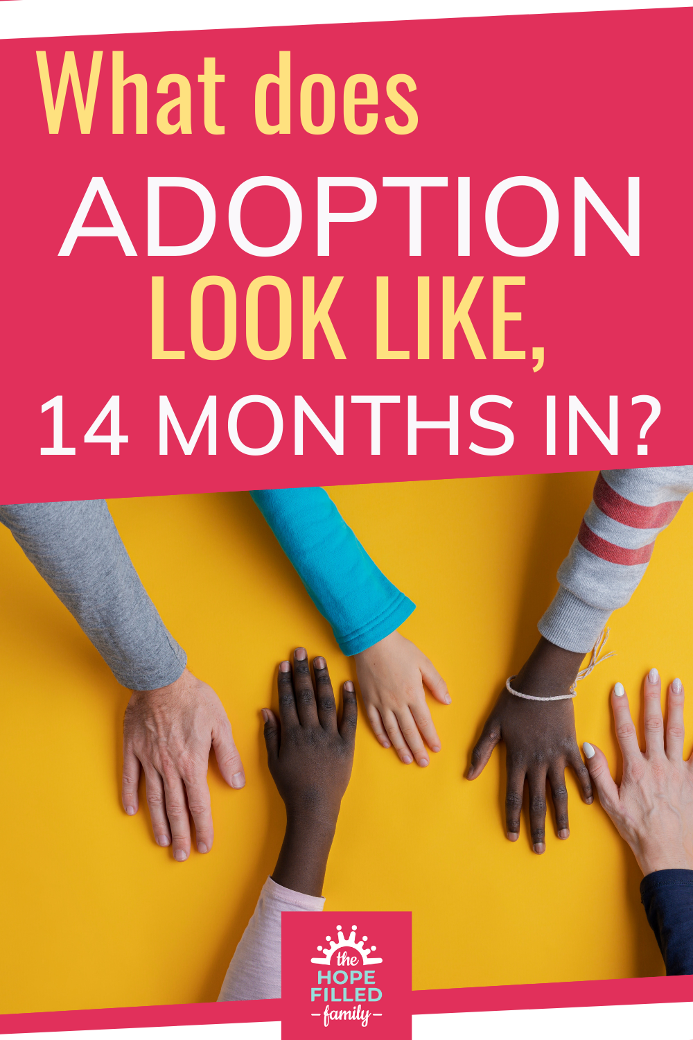 What does the adoption journey look like after 14 months?