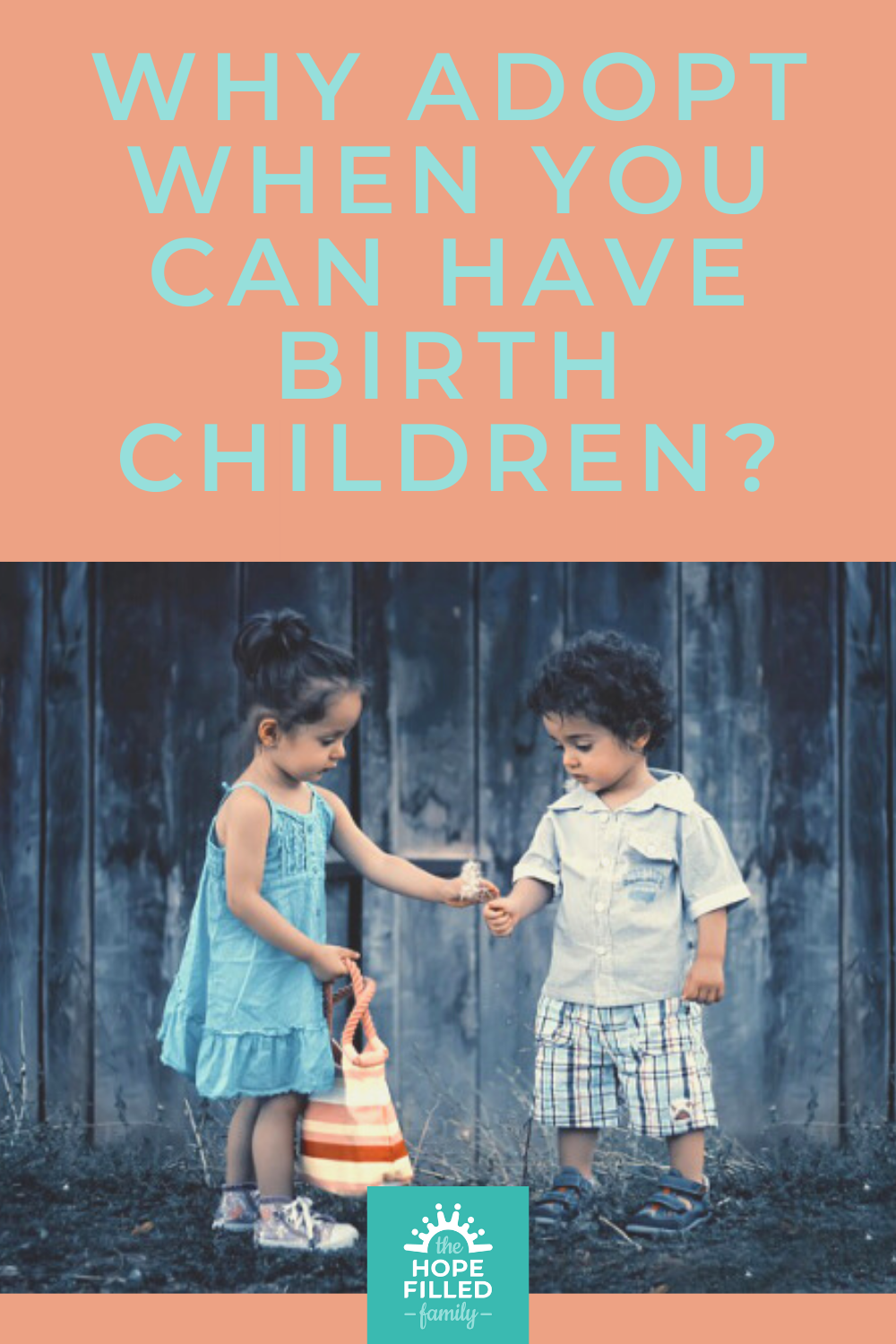 Why adopt when you can have birth children? Why would couples make the decision to go through the adoption process if they knew they could conceive naturally? What motivates people to choose adoption?